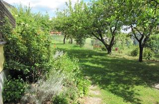 Wohnung mieten in 93105 Tegernheim, Sehr helle 4 ZKB / sep. WC mit Süd Terasse und großem Garten