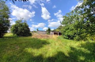 Haus kaufen in 56291 Leiningen, Gemütliches Familienhaus mit Ausbaureserve und großem Grundstück