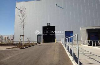 Gewerbeimmobilie mieten in 69198 Schriesheim, Moderne Gewerbehalle mit 1.800 m² - 24/7 nutzbar