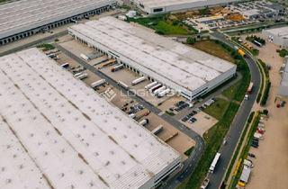 Gewerbeimmobilie mieten in 76709 Kronau, Mehrwert Distributionszentrum | Provisionsfrei | WGK 3 | ESFR-Sprinkleranlage