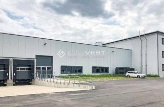 Gewerbeimmobilie mieten in 71272 Renningen, Provisionsfreie Gewerbehalle für TISAX zertifizierte Logistik/Produktion/Forschung