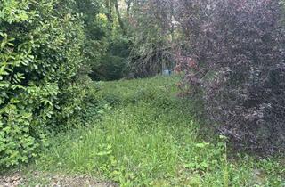 Grundstück zu kaufen in Feldbergstraße 26, 65527 Niedernhausen, Großes Baugrundstück in zentraler und dennoch ruhiger Lage von Niedernhausen!