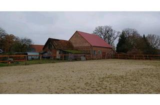 Haus kaufen in 49419 Wagenfeld, Wagenfeld - Resthof mit Neuem Pferdestall