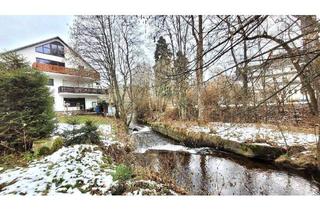 Wohnung kaufen in 79853 Lenzkirch, Lenzkirch - Bezugsfreie und gepflegte 4-Zimmerwohnung in zentraler Lage