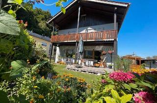 Einfamilienhaus kaufen in 93342 Saal, Saal an der Donau - Großes Einfamilienhaus mit zwei Wohnungen (Privatverkauf)