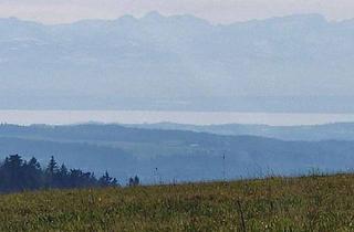 Wohnung kaufen in 88636 Illmensee, Schicke 3 Zimmer-Gartengeschoss-Wohnung, ebenerdig begehbar!