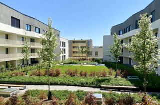 Penthouse mieten in 01067 Innere Altstadt, * Großzügiges helles Penthouse mit Dachterrasse - ID 4502 *