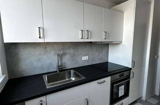 Wohnung mieten in Dorfstr. 78 B, 19339 Plattenburg, Renovierte 1-Zimmer-Wohnung mit neuer EBK