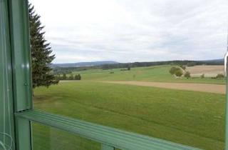 Wohnung mieten in 79843 Löffingen, *Löffingen-Dittishausen*1,5-Zimmer-Appartement (60) intoller Lage mit Panoramasicht! Haus A