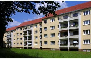 Wohnung mieten in Am Krankenhaus 1a, 03253 Doberlug-Kirchhain, gemütliche 2-Raum-Wohnung im Erdgeschoss