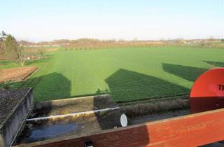 Wohnung mieten in 69198 Schriesheim, **FELDRANDLAGE** Sanierte 3 ZKB mit großer Terrasse, Einbauküche & Gäste WC in Schriesheim