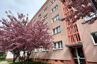 WG-Zimmer mieten in Linzer Straße 45, 06849 Süd, Helle Wohnung mit Balkon nahe S-Bahnhof Süd