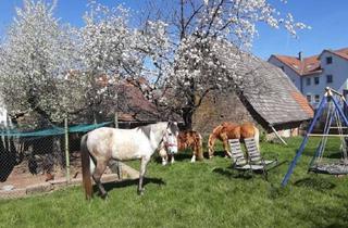 Einfamilienhaus kaufen in 69436 Schönbrunn, Saniertes Einfamilienhaus mit Pferdehaltung - Rustikale Lebensart, moderne Annehmlichkeiten.