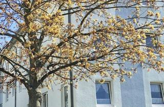 Wohnung mieten in Friedrich-Gottlob-Keller Siedlung 65, 09661 Hainichen, modernisierte 2-Raum Wohnung Hainichen/Mittweida