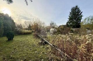 Grundstück zu kaufen in 21398 Neetze, Baugrundstück in Neetze – Naturnah, ruhig & zukunftssicher