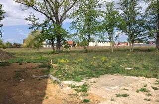 Grundstück zu kaufen in 15859 Storkow, Grundstück am Wald und Feldrand!!