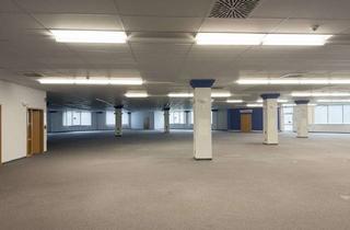 Büro zu mieten in 17309 Pasewalk, Einzigartige Bürofläche mit vielen Einsatzmöglichkeiten