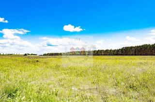 Gewerbeimmobilie kaufen in 06917 Jessen, Ihr Gewerbe im neu entstehenden Gewerbegebiet