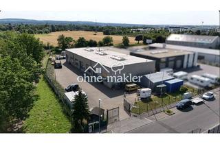 Büro zu mieten in 53359 Rheinbach, 2 Gewerbehallen mit Büro- und Sozialflächen in verkehrsgünstiger Lage