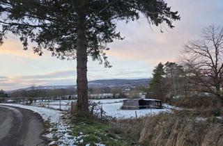 Grundstück zu kaufen in Alte Str., 36396 Steinau, Landwirdschaftsfläche grießwiesen