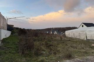 Grundstück zu kaufen in Ohlsdorfer Heide, 53347 Alfter, Grundstück in Alfter