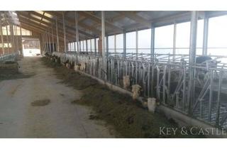 Immobilie kaufen in 92278 Illschwang, Neuwertiges Stallgebäude von 2018- bei Nürnberg *Auch für Pferdehalter interessant!