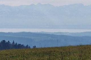 Wohnung kaufen in 88636 Illmensee, Schicke 3 Zimmer-Gartengeschoss-Wohnung, ebenerdig begehbar!