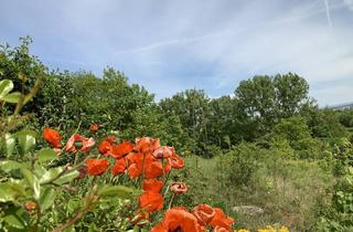 Garagen kaufen in 65582 Aull, Traumhafter Bauplatz zwischen Limburg und Diez.