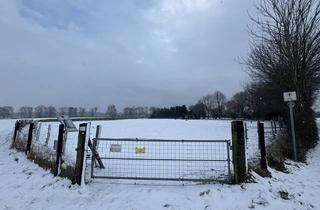 Immobilie kaufen in 48734 Reken, landwirtschaftliche Fläche (Grünland) in Reken