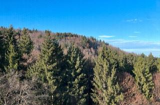 Wohnung kaufen in 87509 Immenstadt, Immenstadt im Allgäu - 3-Zimmer Wohnung ? mit Balkon & Tiefgaragenstellplatz