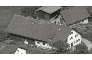 Bauernhaus kaufen in 89281 Altenstadt, Altenstadt - Älteres Bauernhaus