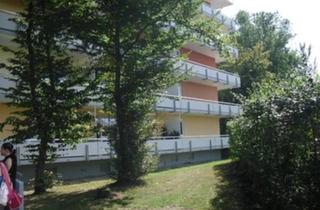 Wohnung kaufen in 67227 Frankenthal, Frankenthal (Pfalz) - 4-ZKB Erdgeschosswohnung in Frankenthal-Süd
