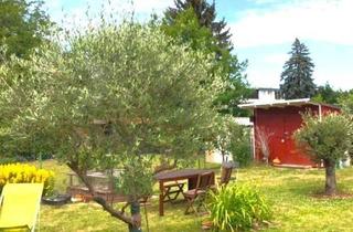 Reihenhaus kaufen in 60488 Frankfurt, Frankfurt - Kleine grüne Oase in der Stadt