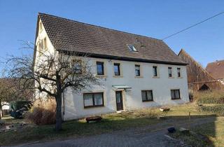 Mehrfamilienhaus kaufen in 91077 Kleinsendelbach, Kleinsendelbach - Mehrfamilienhaus in Kleinsendelbach