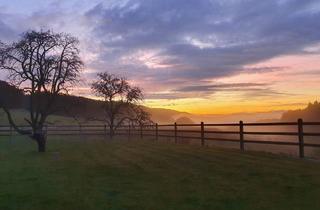 Haus kaufen in 79713 Bad Säckingen, Bad Säckingen - Exklusives Reiteranwesen mit Alpenpanorama - Pferdeparadies mit Perspektive V13084