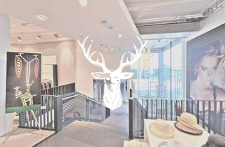 Haus kaufen in 79713 Bad Säckingen, Bad Säckingen - Einzigartiges Geschäftshaus im Herzen der Innenstadt Bad Säckingens zu verkaufen