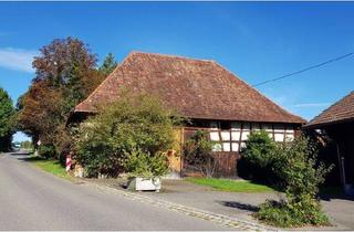 Haus kaufen in 88709 Meersburg, Meersburg - Denkmalgeschützte barocke Scheune von 1776 mit Baugrundstück