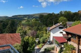 Wohnung kaufen in 64678 Lindenfels, Renovierte 1-Zimmerwohnung mit Talblick