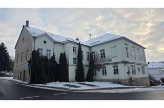 Gewerbeimmobilie kaufen in 08468 Reichenbach, Historisches Gasthaus mit Einliegerwohnungen, teilsaniert in Reichenbach