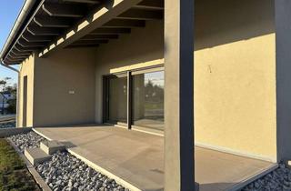 Einfamilienhaus kaufen in 38829 Harsleben, Traumhaftes Einfamilienhaus in Harsleben mit Feldblick