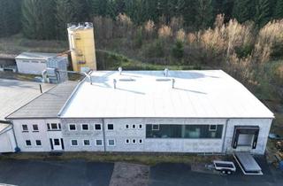 Gewerbeimmobilie kaufen in 95179 Geroldsgrün, Fertigungshalle mit Büro - viele Möglichkeiten!