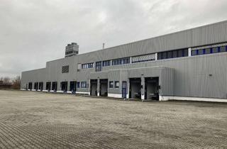 Gewerbeimmobilie mieten in Am Piperfenn, 14776 Neustadt, Bis zu 12m Hallenhöhe UKB: Logistik- und Produktionsflächen zu vermieten