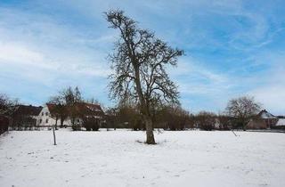 Grundstück zu kaufen in 49082 Sutthausen, RESERVIERT! Teilerschlossenes Grundstück in Sackgassenlage!