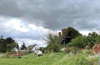 Grundstück zu kaufen in 14913 Niedergörsdorf, Investieren, wo Ruhe zuhause ist – Entwicklungsgrundstücke im Grünen