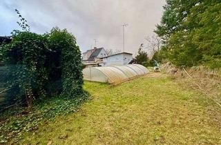 Grundstück zu kaufen in 14550 Groß Kreutz, Großes Grundstück für Wohn- und Arbeitsmöglichkeiten schnelle Anbindung an A10/Berliner Ring