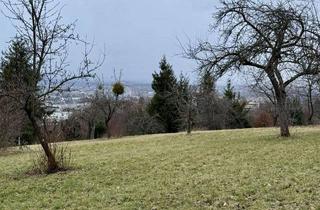 Grundstück zu kaufen in Vor Dem Urselberg, 72793 Pfullingen, Landwirtschaftliches Grundstück direkt unterhalb vom Waldcafe