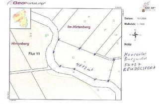 Gewerbeimmobilie kaufen in 56727 Mayen, Laubwald in 4879 m² in Rheinland Pfalz, Reudelsterz Nähe Mayen