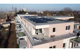 Penthouse kaufen in Rheinstraße 64, 50389 Wesseling, Großzüzige Penthousewohnung - 50 m² Dachterrasse - ruhige Wohnlage!