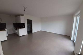 Wohnung mieten in 97980 Bad Mergentheim, Einliegerwohnung mit Terrasse - 53.15m² - 2 Zimmer