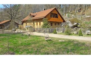 Haus kaufen in 93199 Zell, Bayern, Oberpfalz, nahe Zell - Wohnhaus mit Bach, Schwimmteich und Offenstall für Pferde